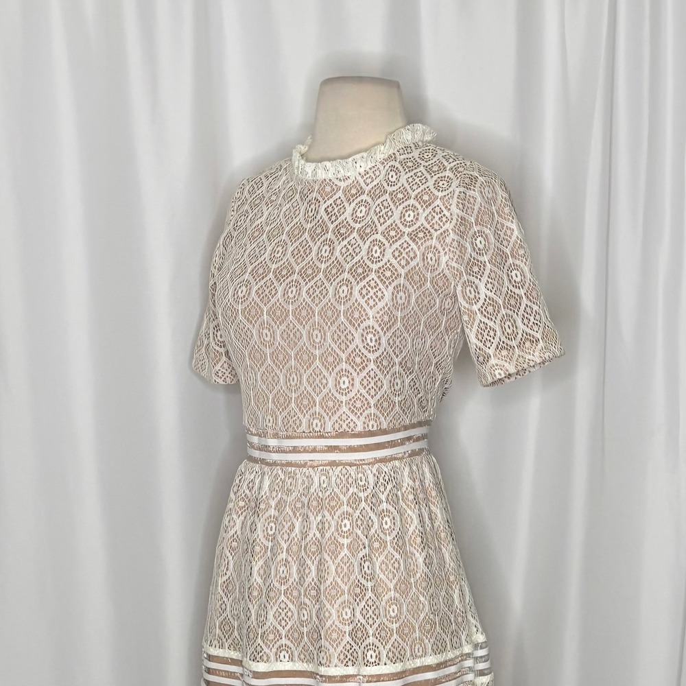 NWT BALTIC BORN Windsor Lace Midi Dress Ivory Nude Feminine Romantic Small - Picture 7 of 16